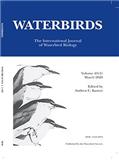 WATERBIRDS