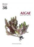 ALGAE