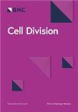 Cell Division