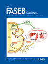 FASEB JOURNAL