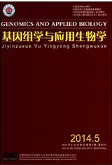 MW(xu)c(yng)W(xu)